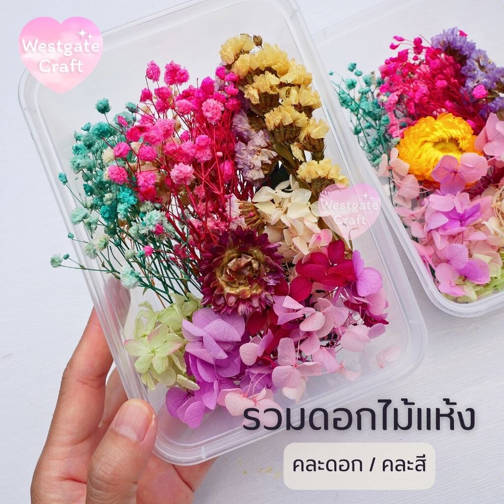 รวมดอกไม้แห้ง แบบกล่อง คละดอก คละสี สุ่ม