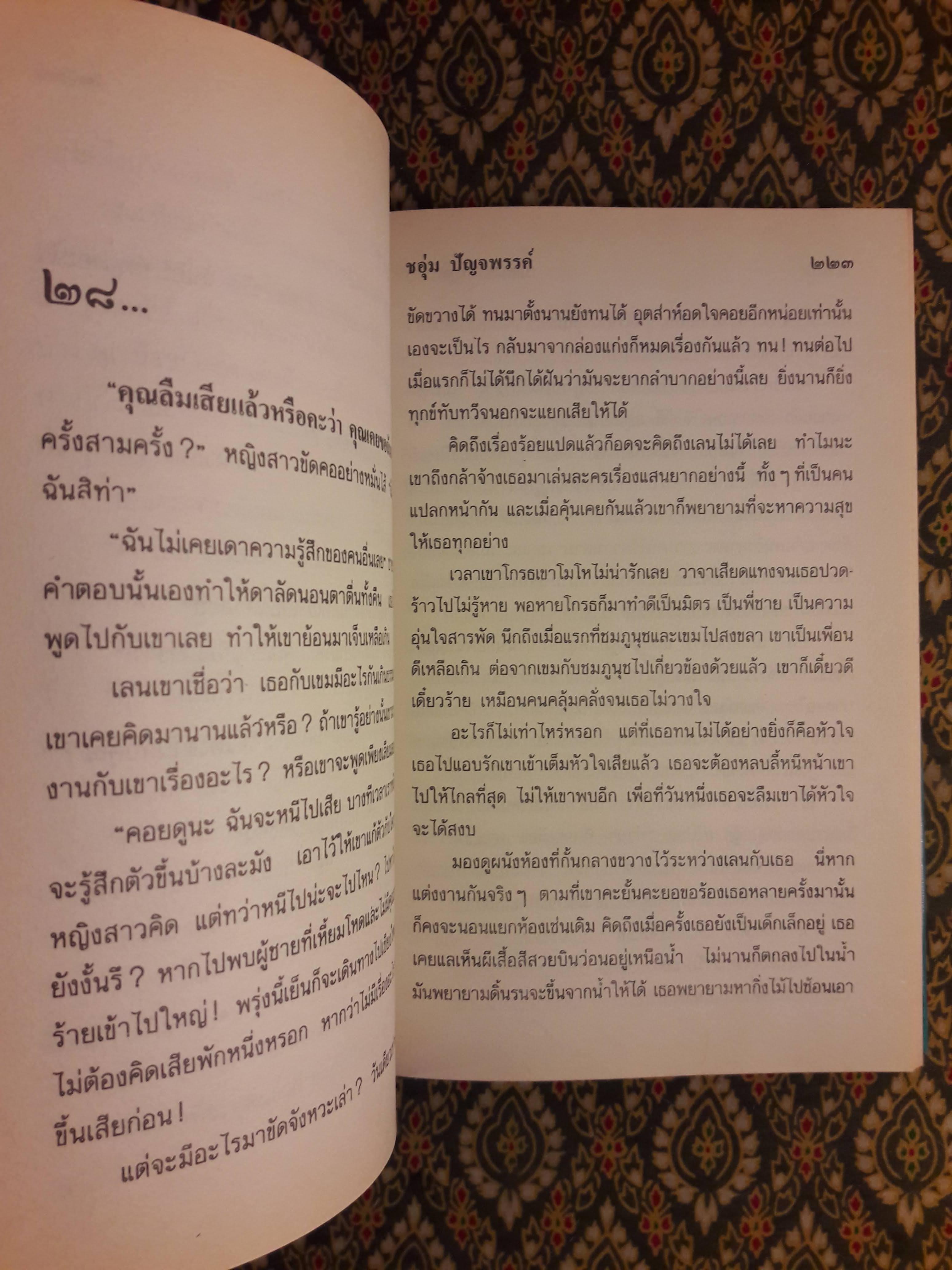 เมียนอกกฎหมาย (2 เล่มจบ)