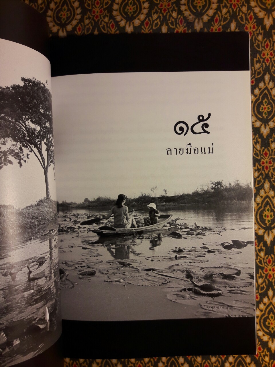 บันทึกสู่แผ่นฟิล์ม ความสุขของกะทิ