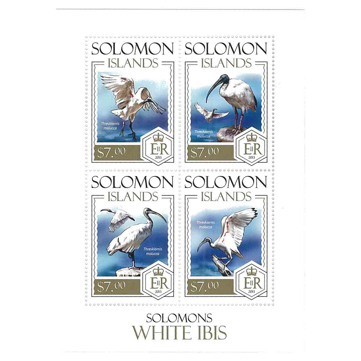 Solomon Islands Stamp, 2013 Solomons White Ibis, Bird