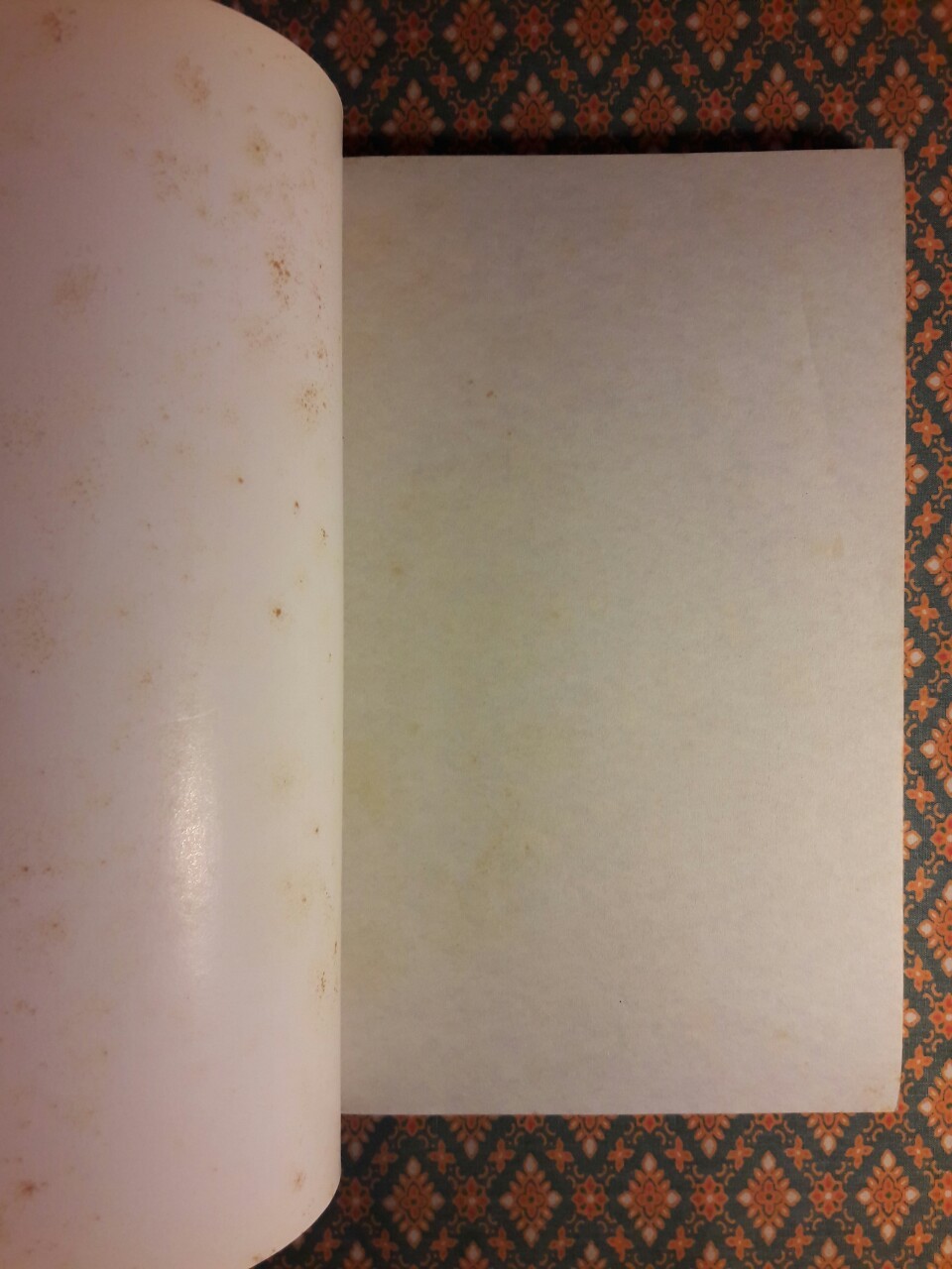 ศพท้ายรถ