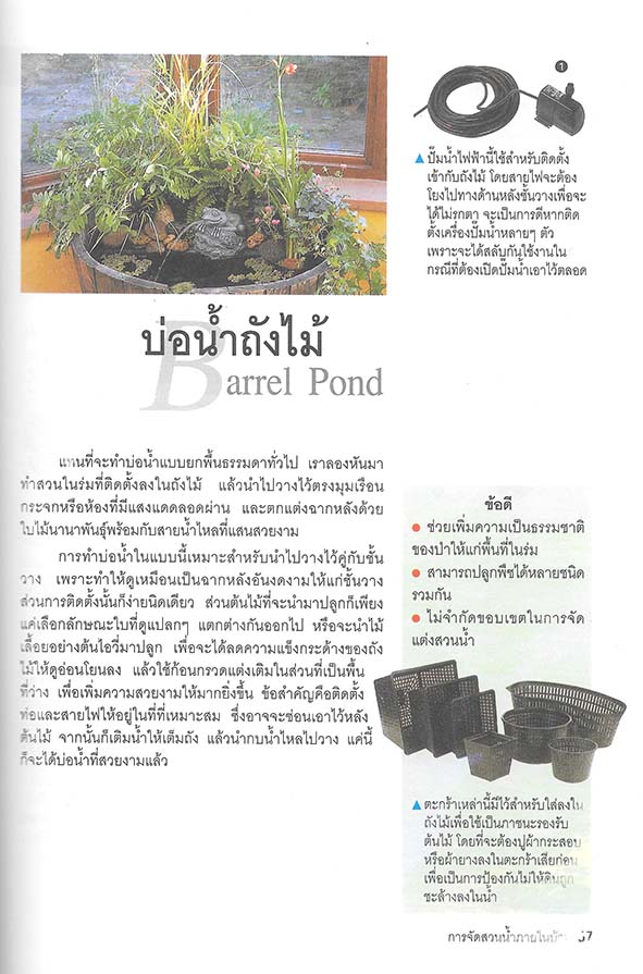 แนวคิดและรูปแบบ การจัดสวนน้ำภายในบ้าน ด้วยตนเอง