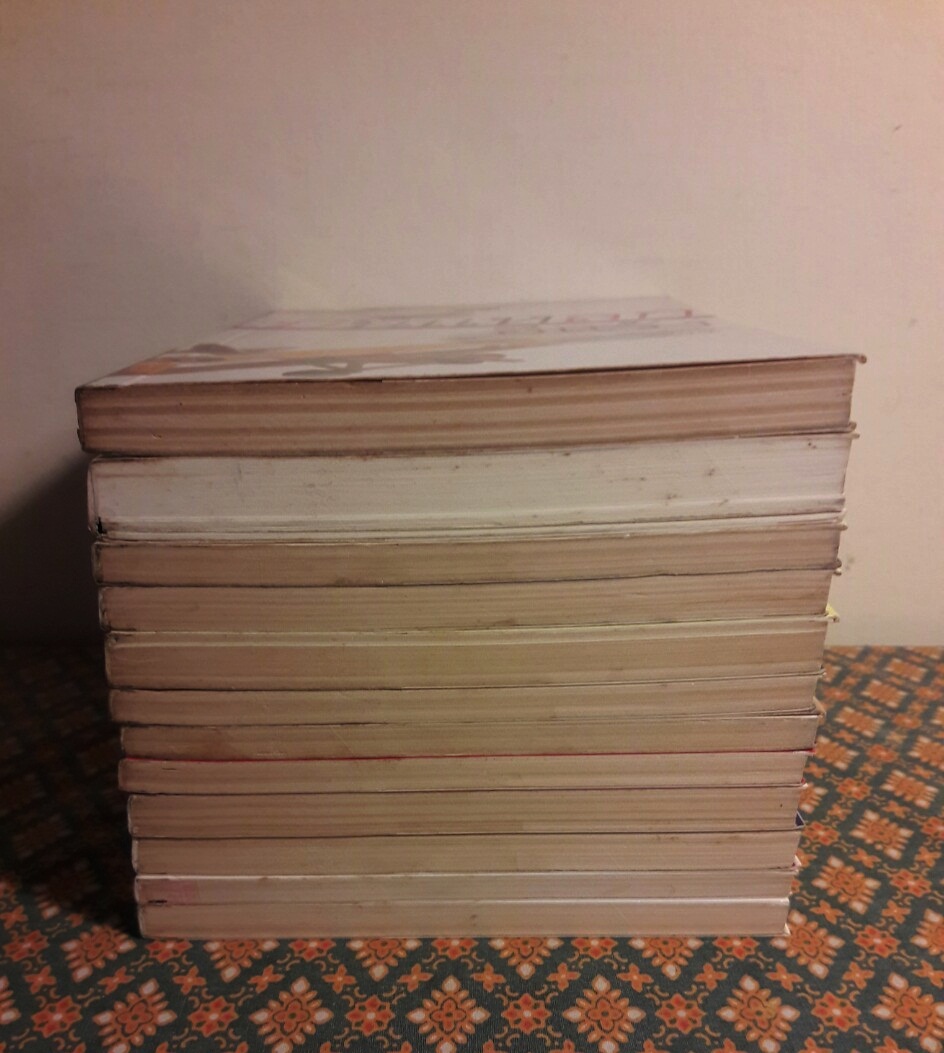 บินแหลก เล่ม 1-12