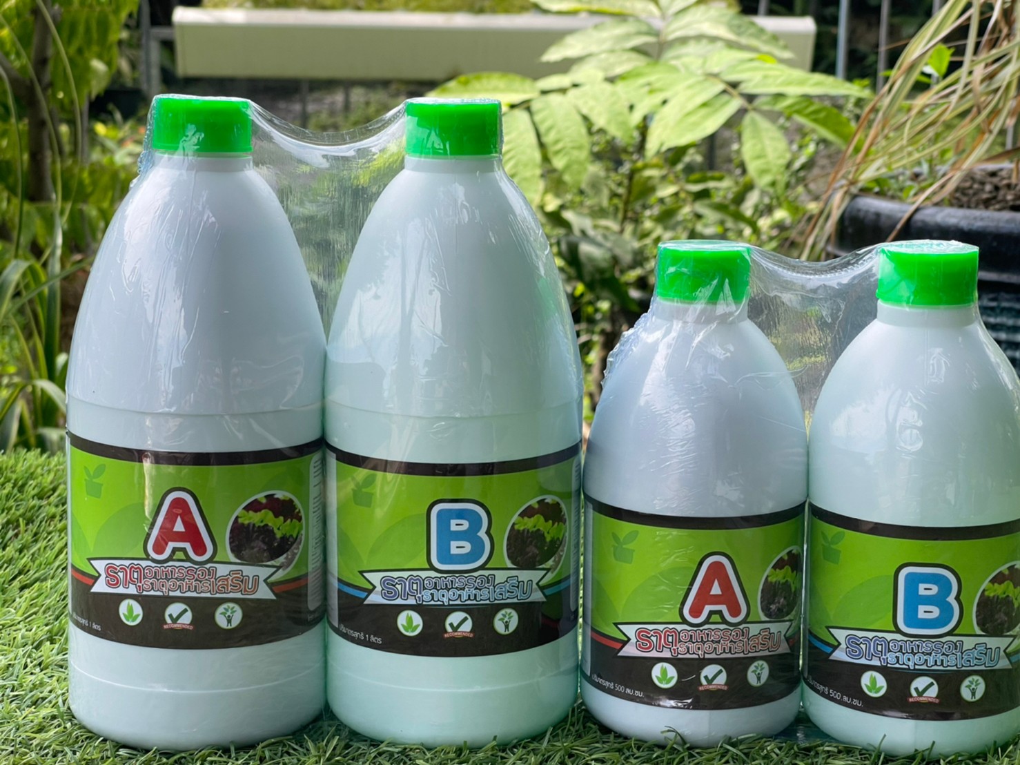 ปุ๋ยไฮโดรโปนิกส์ AB1000cc (ชนิดน้ำสูตรเข้มข้น) สำหรับผักไฮโดรโปนิกส์โดยเฉพาะ สินค้ามีพร้อมส่ง