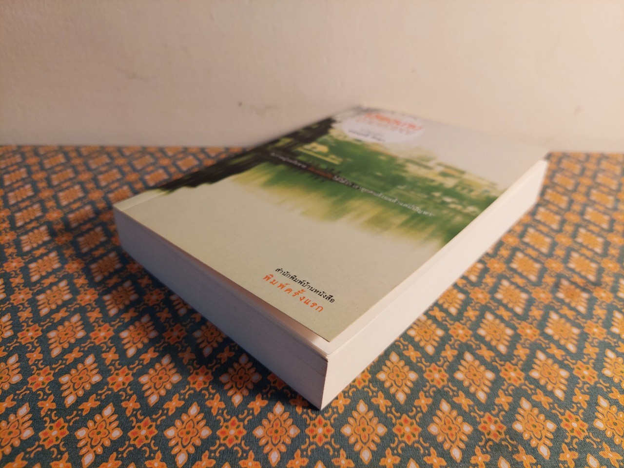 เวียดนามตามลำพัง