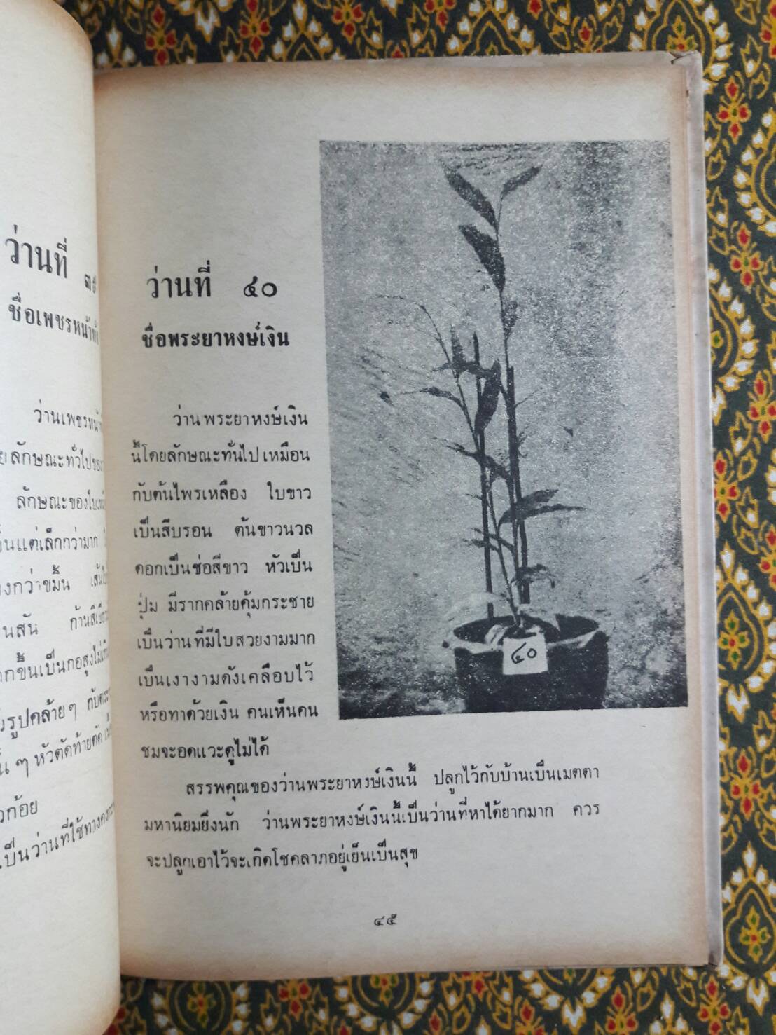 กบิลว่าน 108