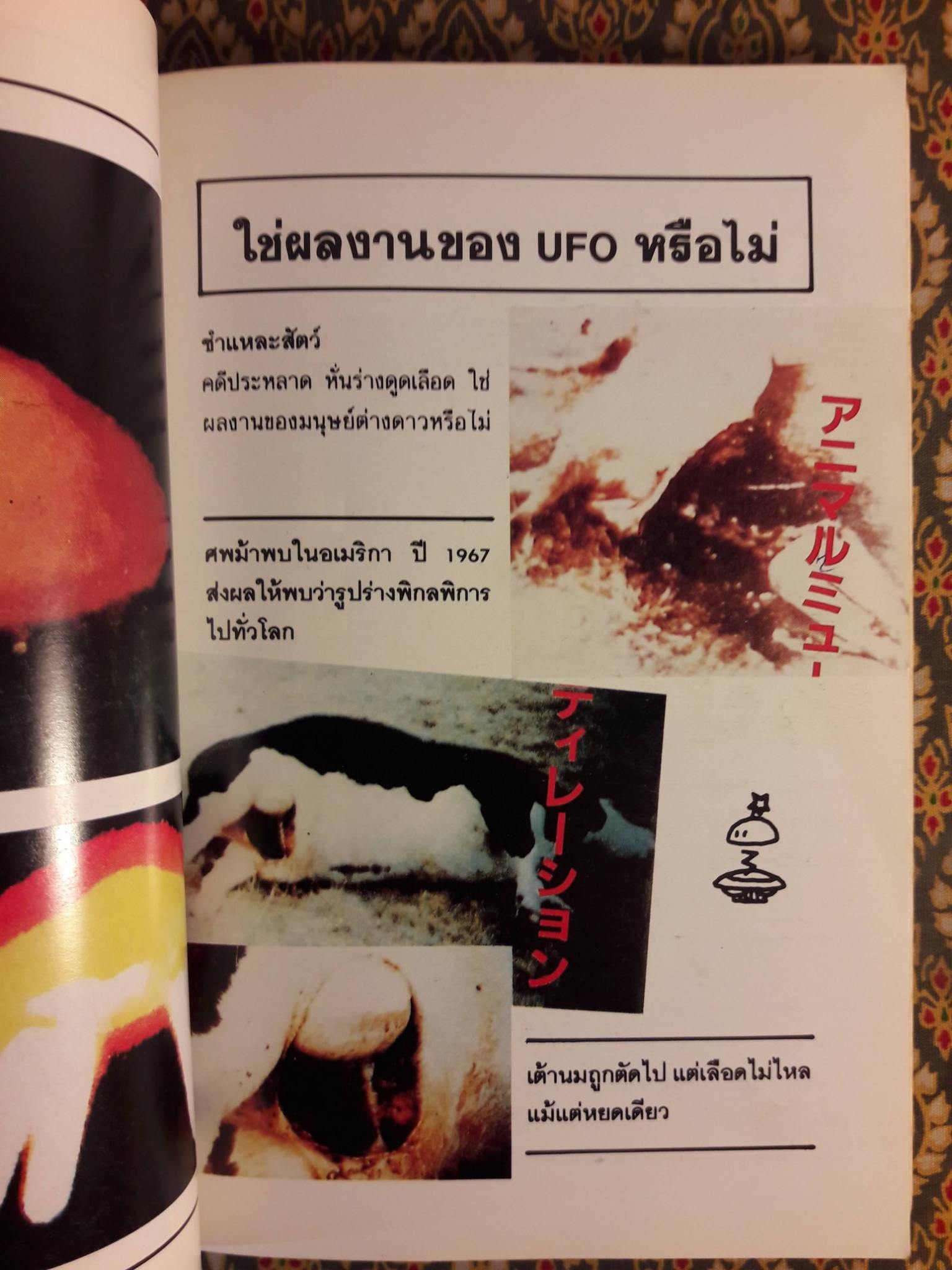 มนุษย์ต่างดาวและจานผีญี่ปุ่น