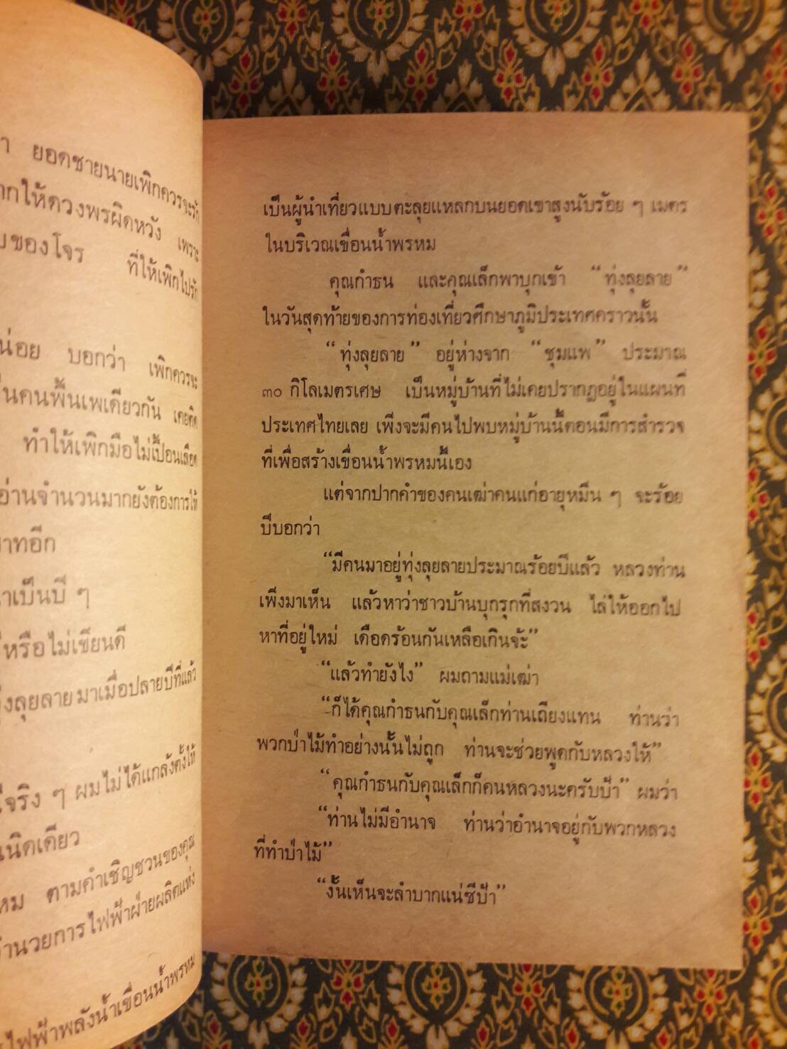 ทุ่งลุยลาย (2 เล่มจบ) “ภาคต่อชุมแพ”