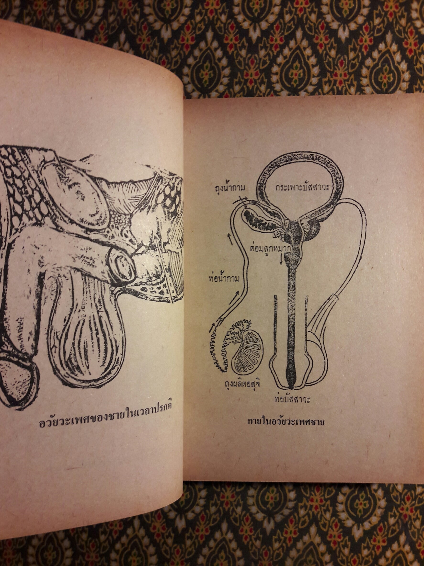 คู่มือแพทย์ประจำครอบครัวและใช้ยารักษาโรคปัจจุบัน