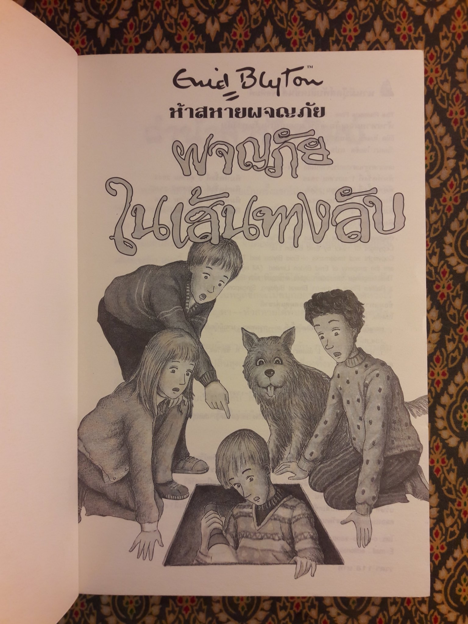 ห้าสหายผจญภัย ตอนผจญภัยในเส้นทางลับ The Famous Five : Five Go Adventuring Again