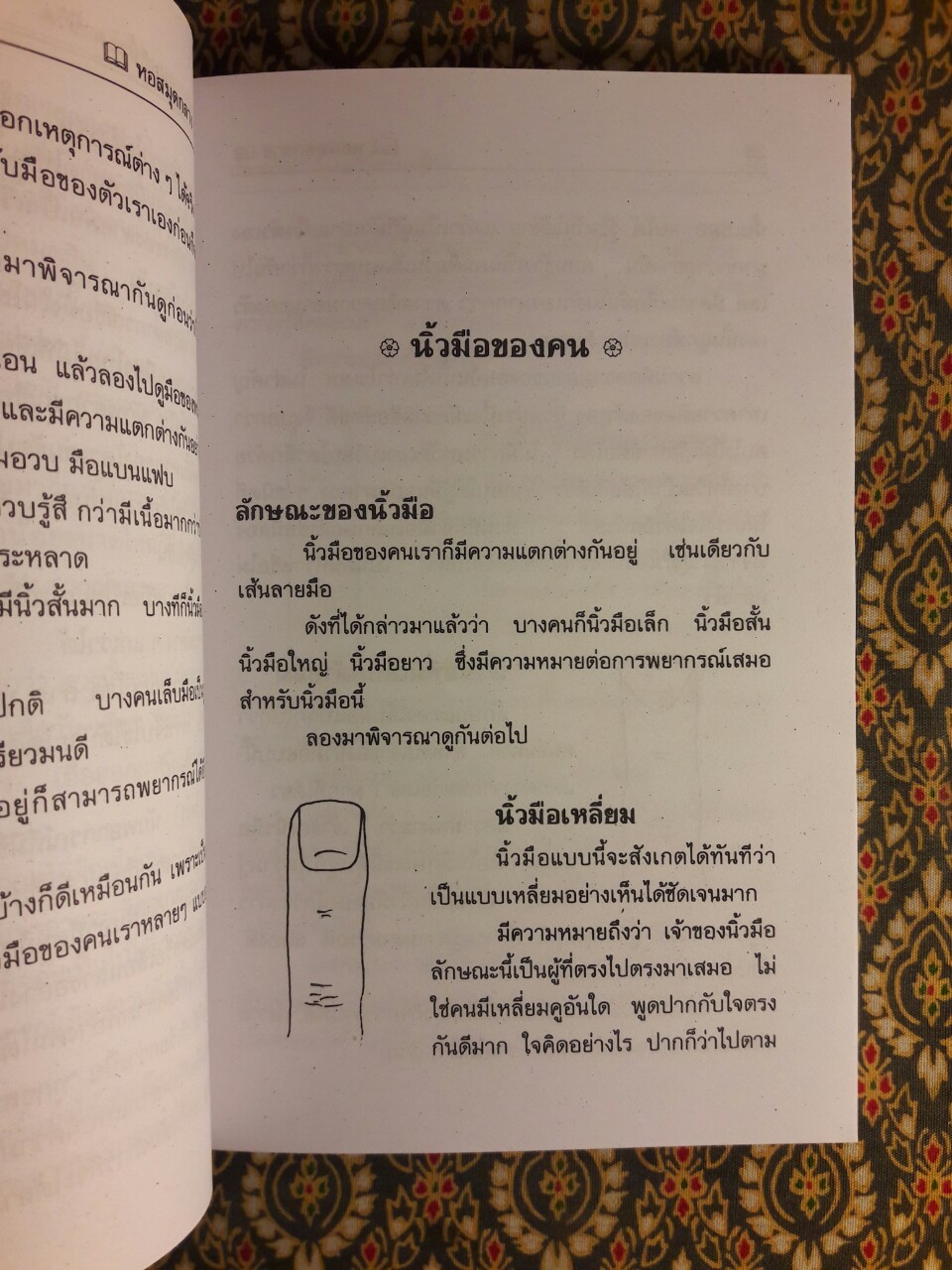 ลายมือแผนที่ชี้ชะตาชีวิต