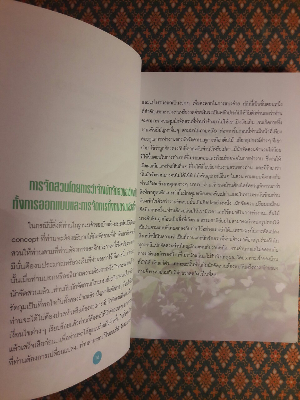 พันธุ์ไม้ในงานจัดสวน