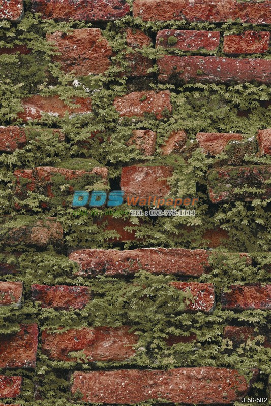 JPOP15-32 ลายใบไม้เขียวบนก้อนอิฐ