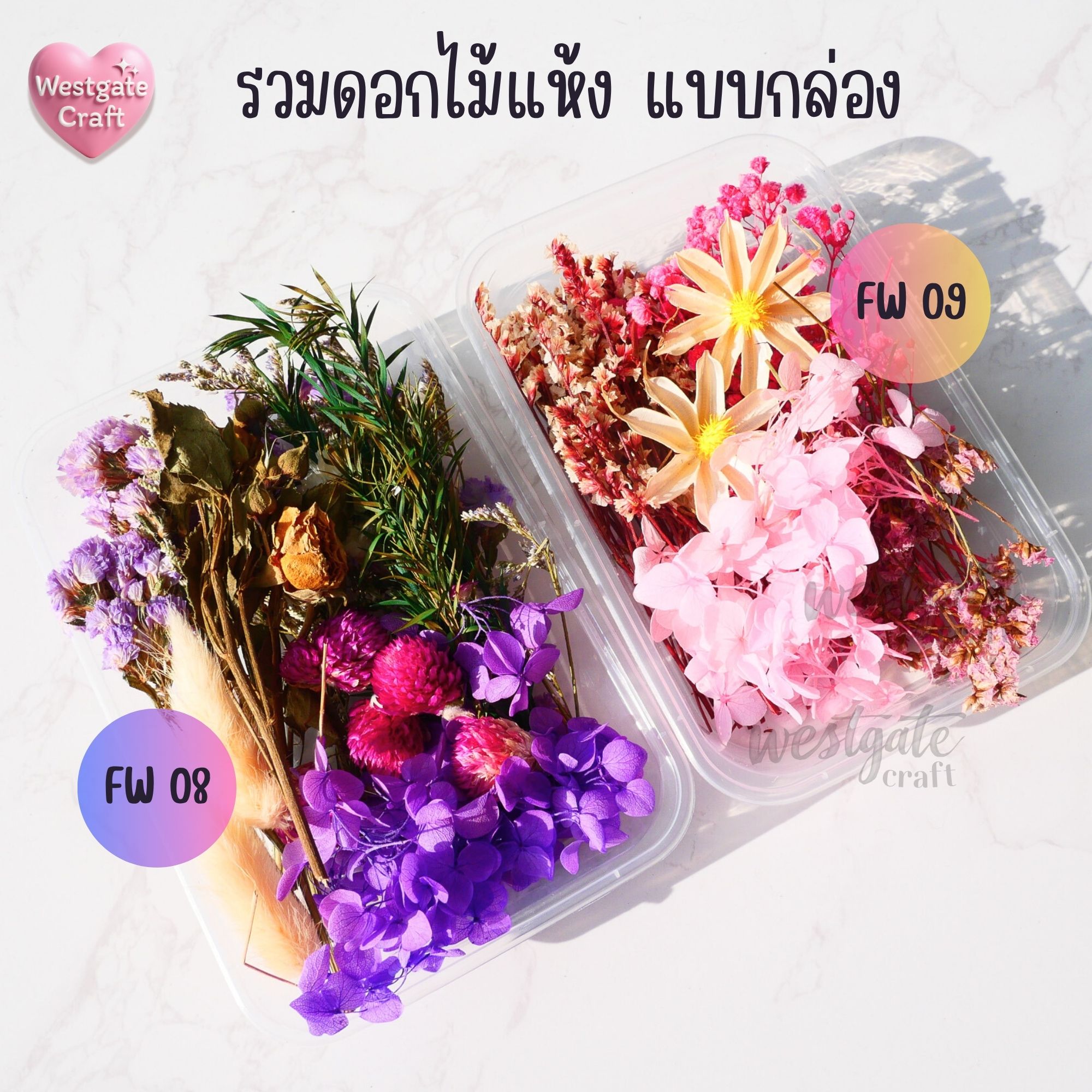 รวมดอกไม้แห้ง แบบกล่อง คละขนาด FW 01-09 , ดอกไม้แห้งจริง