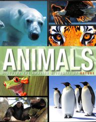 DISCOVER: ANIMALS
