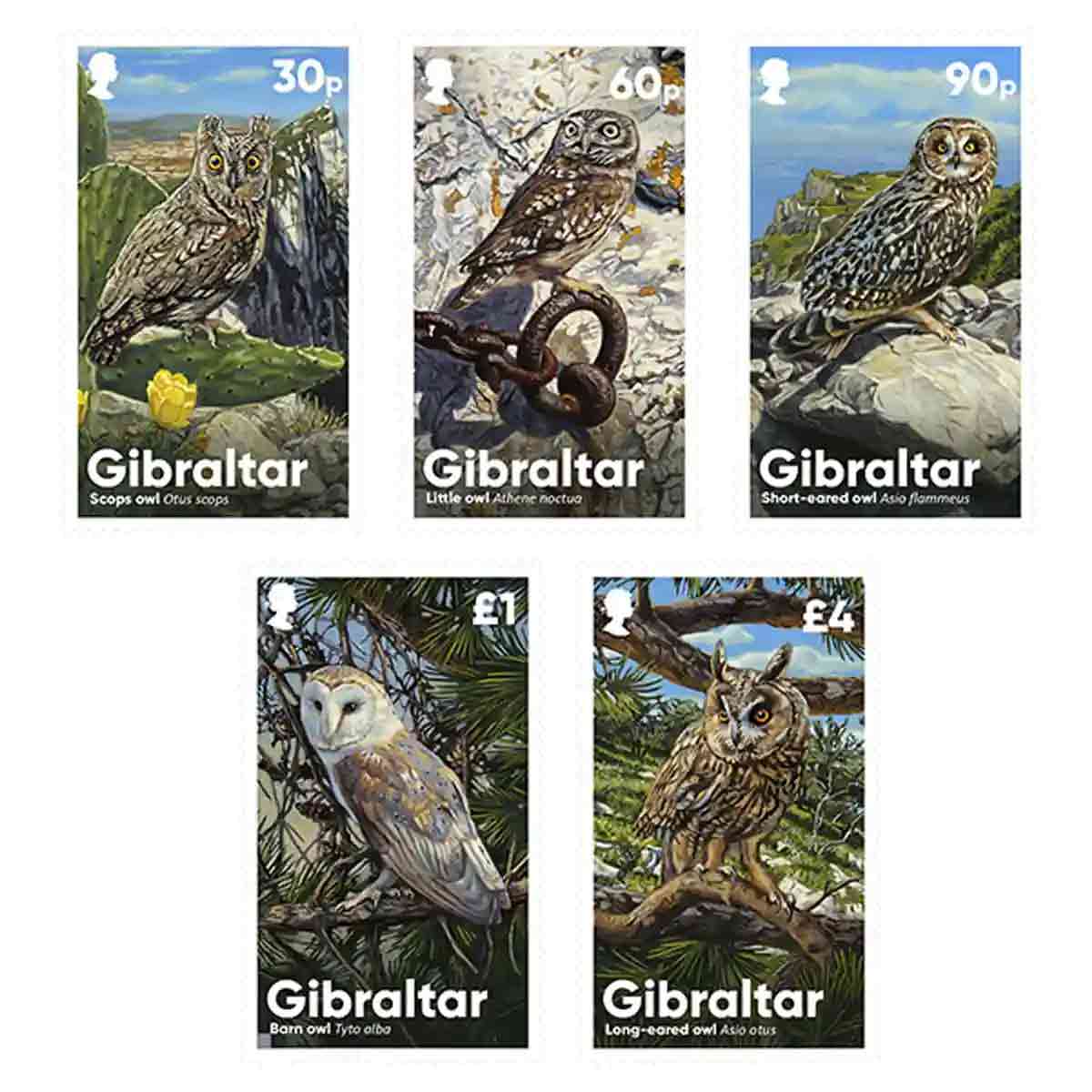 Gibraltar Stamp, 2020 Owls แสตมป์นกฮูก จากประเทศยิบรอลตาร์
