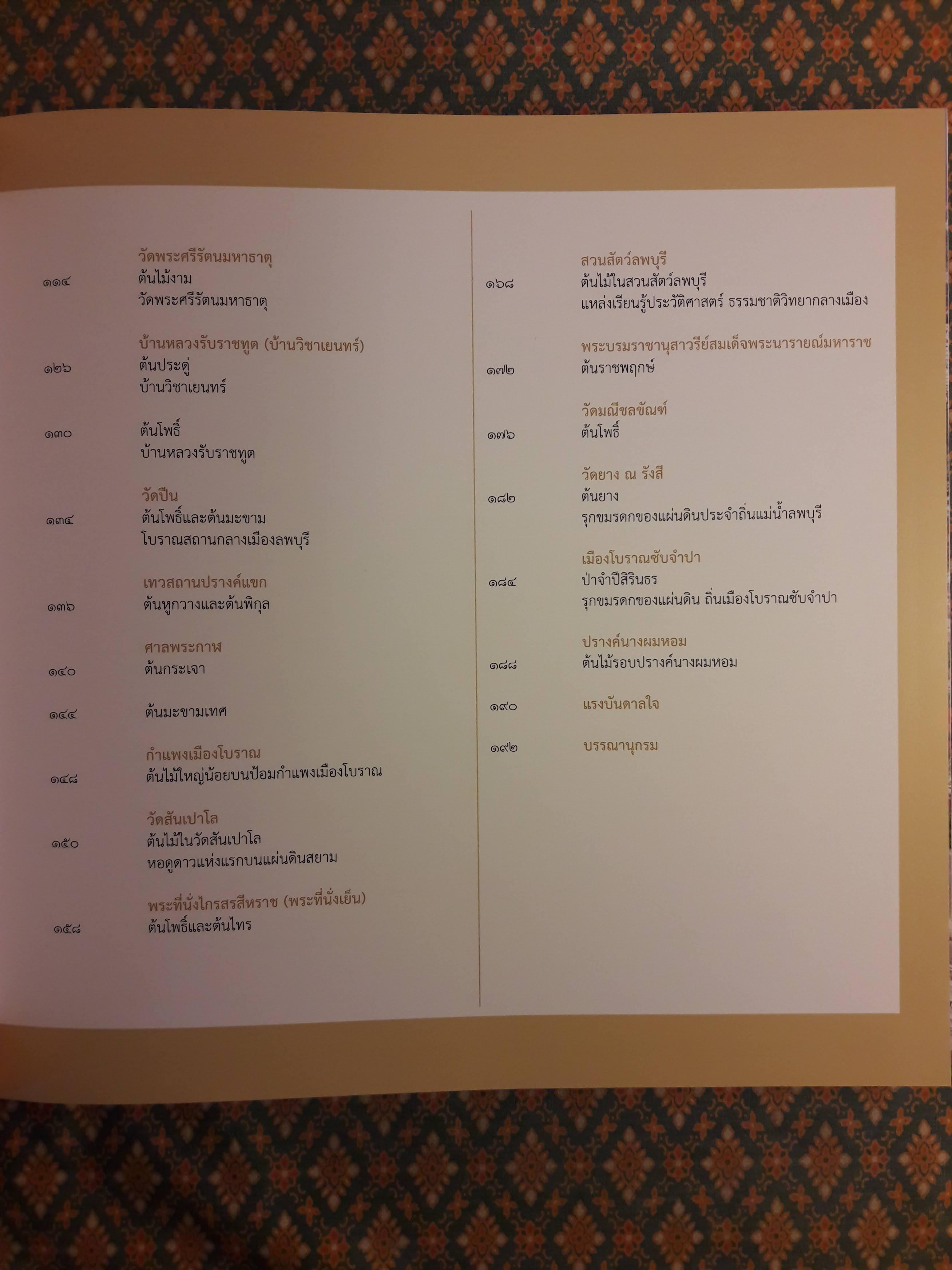 ต้นไม้ใหญ่ในแผ่นดินถิ่นประวัติศาสตร์ลพบุรี Big Trees in Lop Buri's Archacological Sites