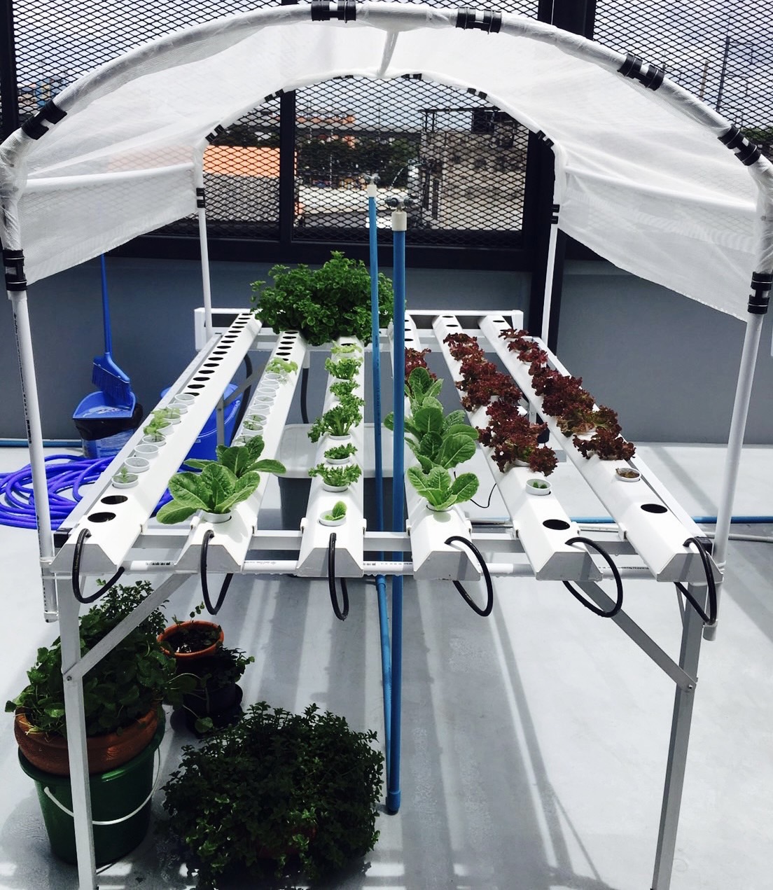 ชุดปลูกผักไฮโดรโปนิกส์ แบบตั้งโต๊ะ ขนาด 2 m. 4 รางปลูก+2รางอนุบาล