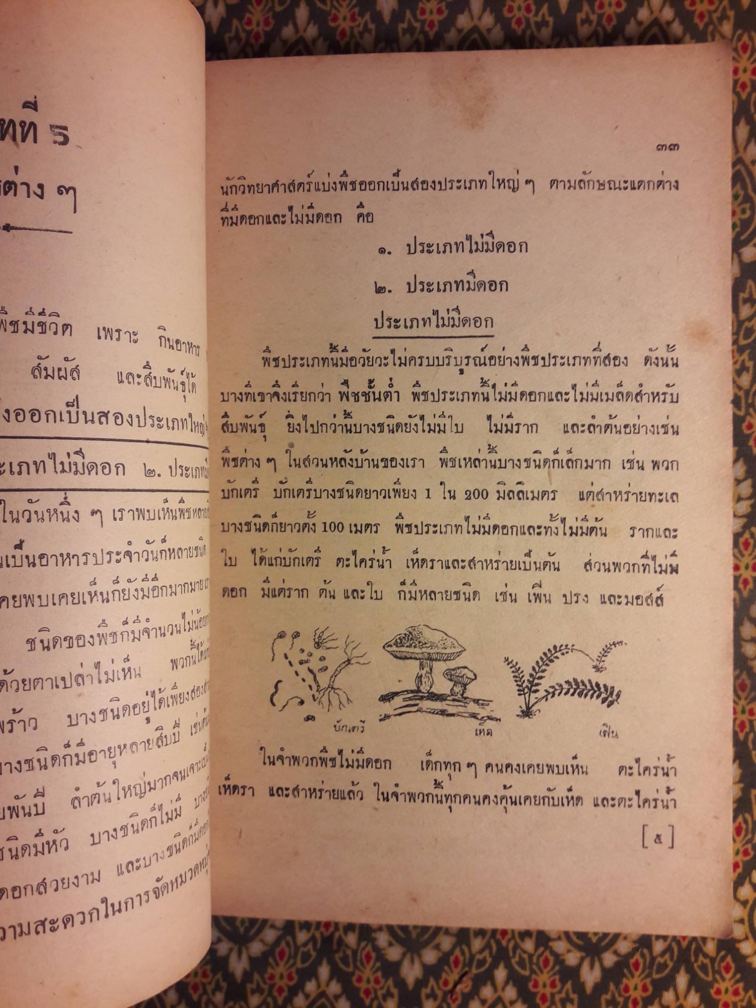 วิทยาศาสตร์ ชั้นมัธยมปีที่ 1 "สินค้ามีตำหนิ"