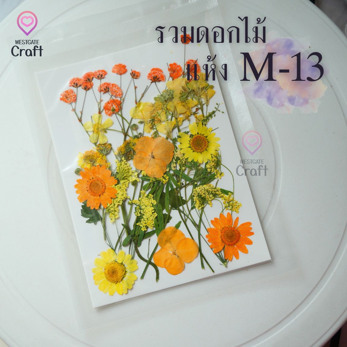 รวมดอกไม้แห้ง M ดอกไม้แห้งทับ ดอกไม้แบบคละ