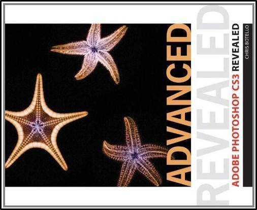 Advanced Adobe Photoshop CS3 Revealed ISBN 9781435413269