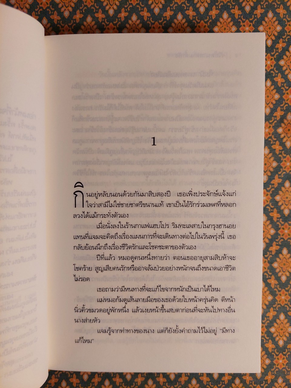 เวียดนามตามลำพัง