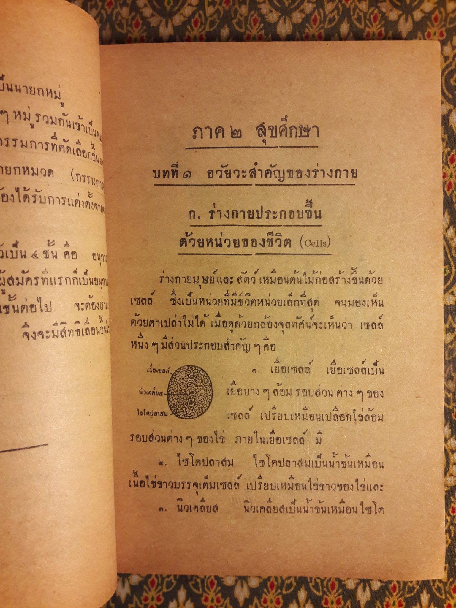 แบบเรียนอนุกาชาด ชั้นโท