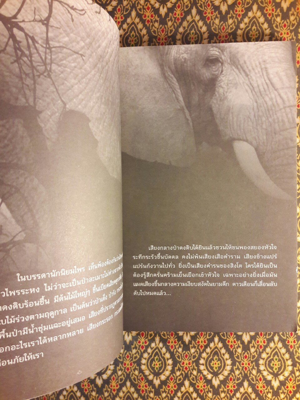 นักฆ่าคะนองไพร