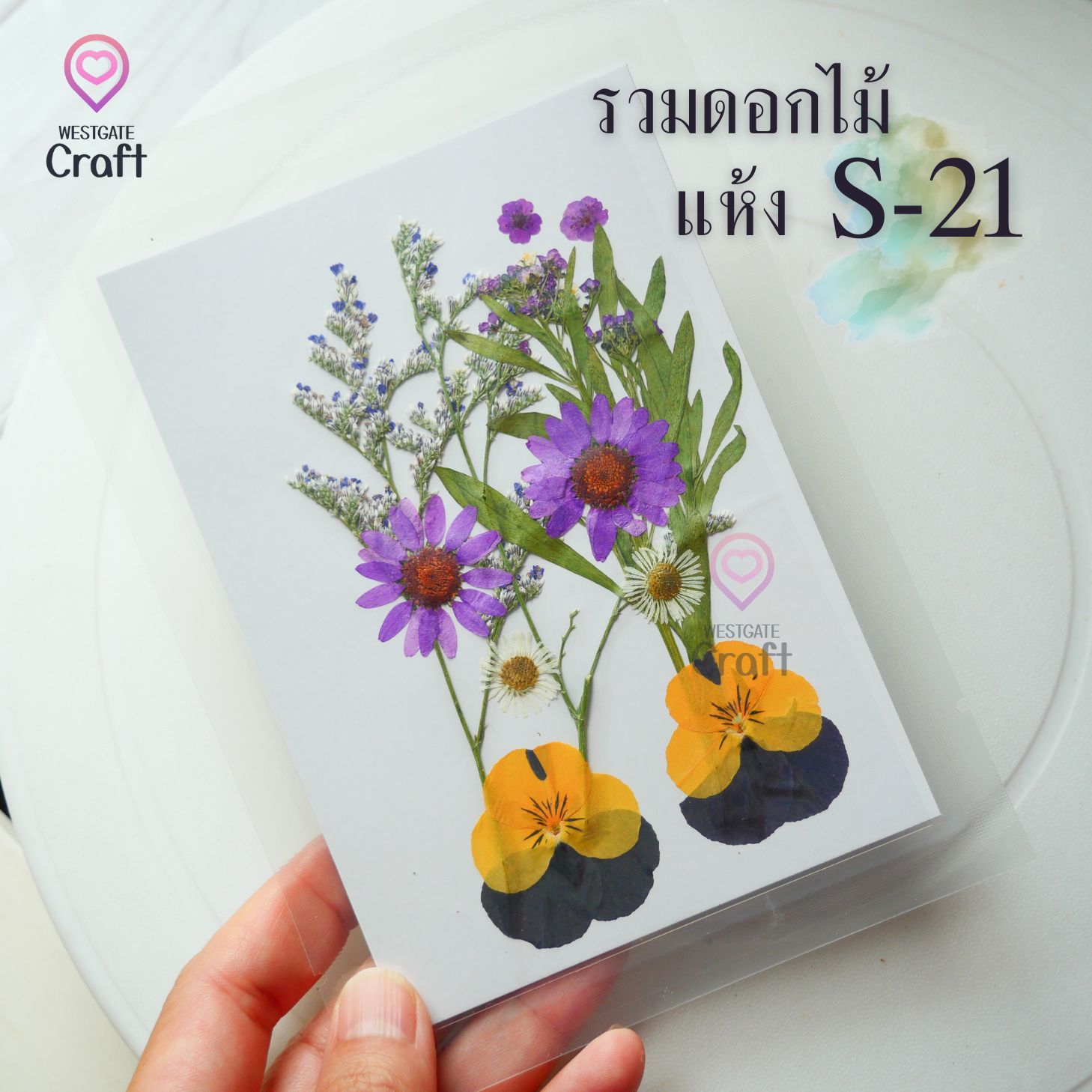 รวมดอกไม้แห้ง S ดอกไม้แห้งทับ ดอกไม้แบบคละ