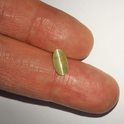 คริสโซเบริลตาแมวหรือไพฑูรย์ (Cat's eye Chrysoberyl) 1.40 กะรัต จากอินเดีย