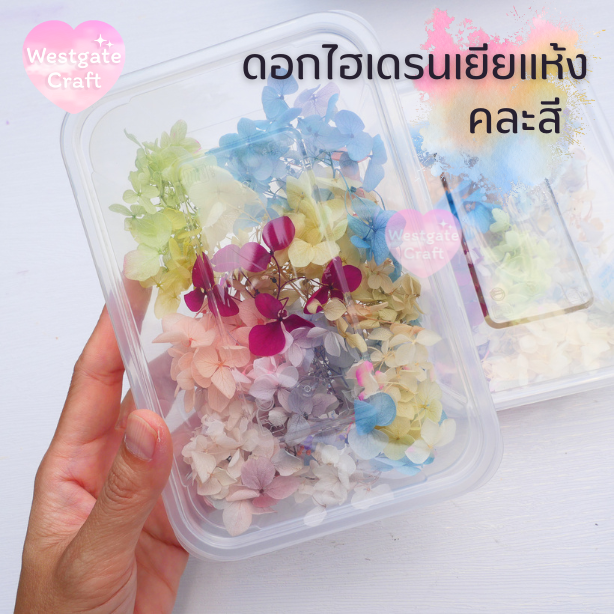 ดอกไฮเดรนเยียแห้ง แบบกล่อง คละขนาด คละสี สุ่ม