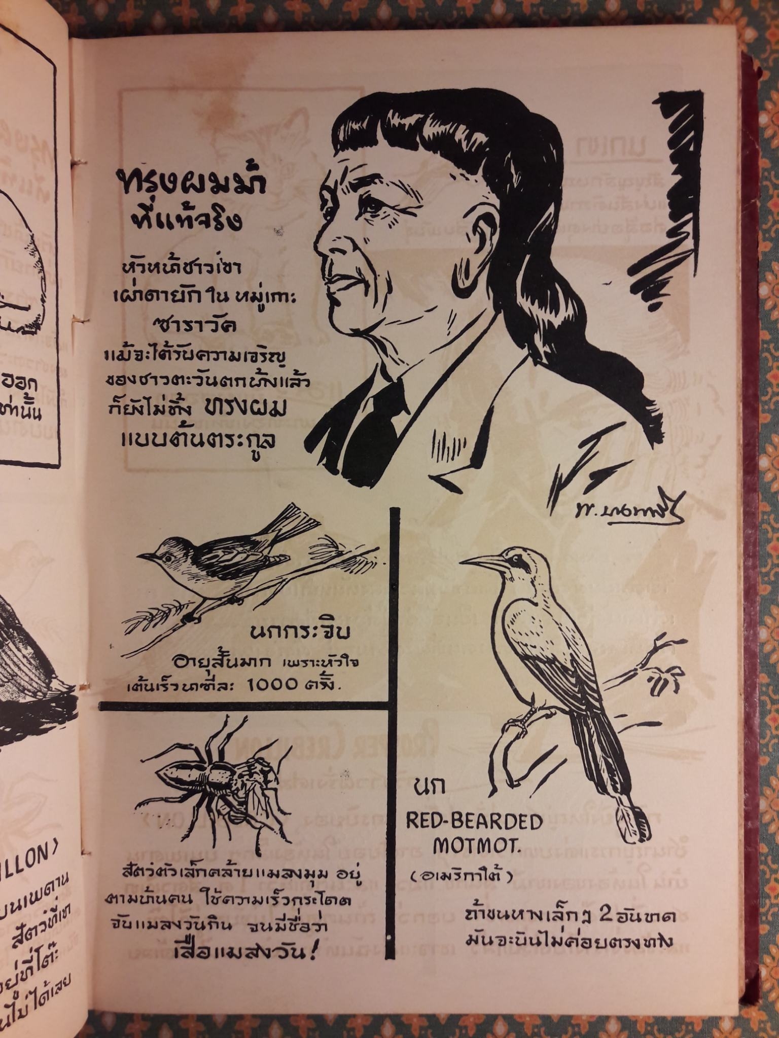 แปลกแต่จริง เชื่อหรือไม่?