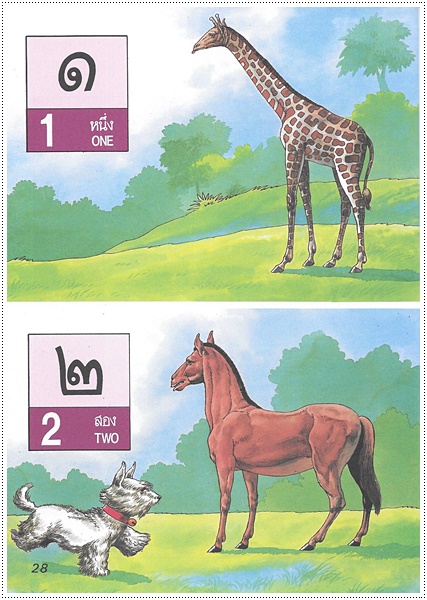 แบบหัดเรียน ก.ไก่ (ใหญ่ปอนด์)