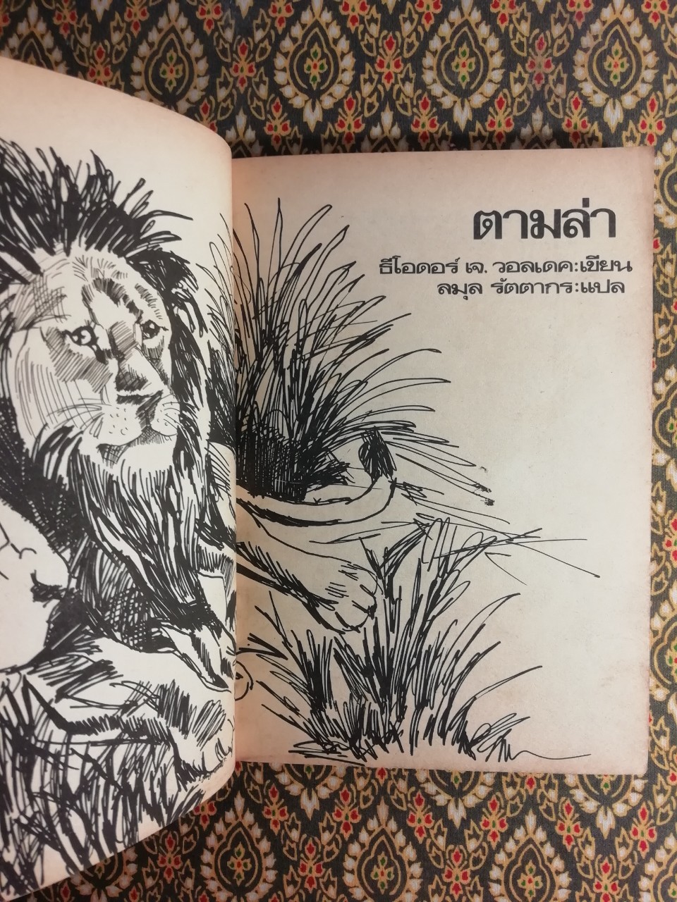 ตามล่า การผจญภัยของสิงห์หนุ่ม Lions on the Hunt