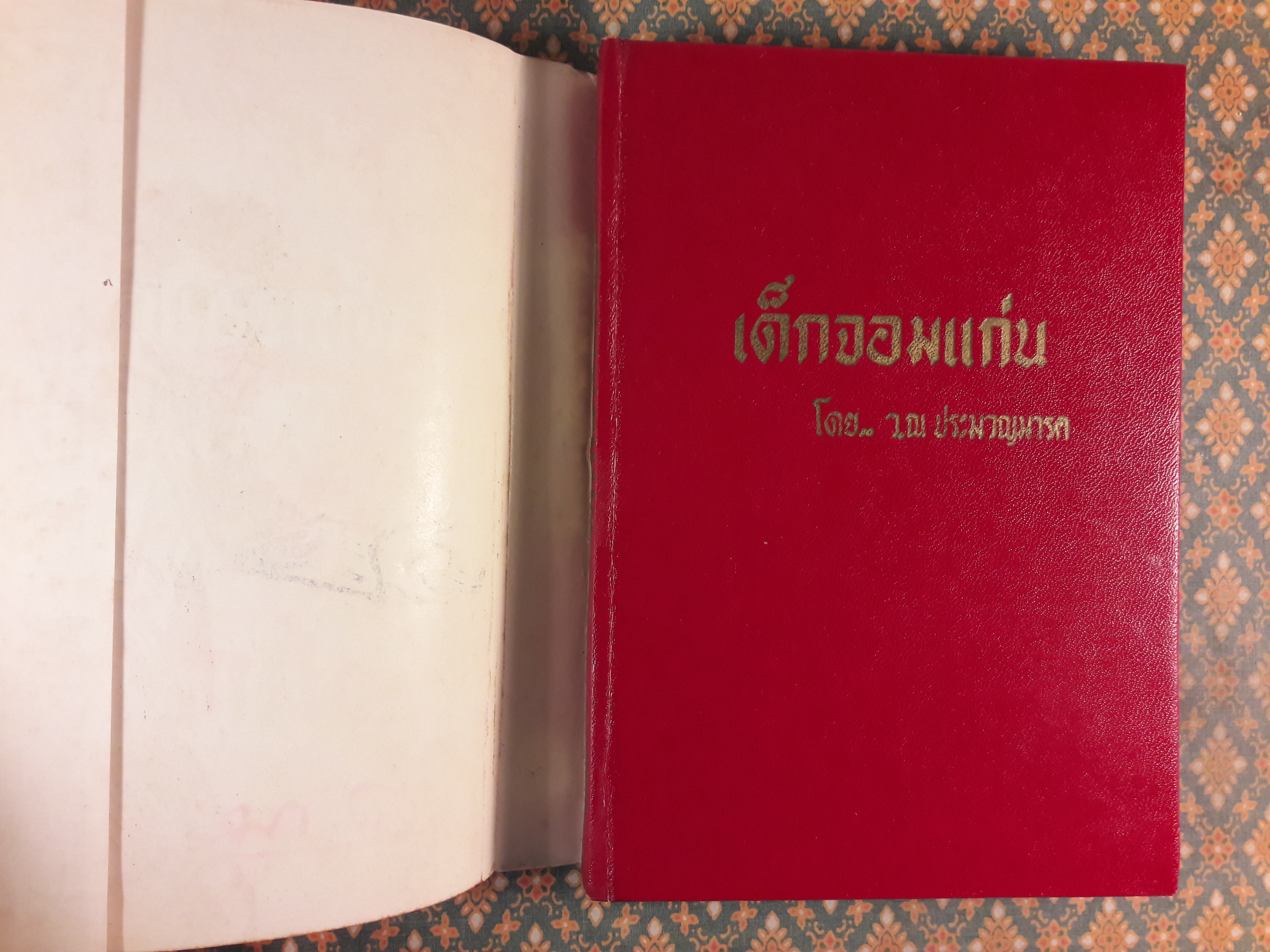 เด็กจอมแก่น