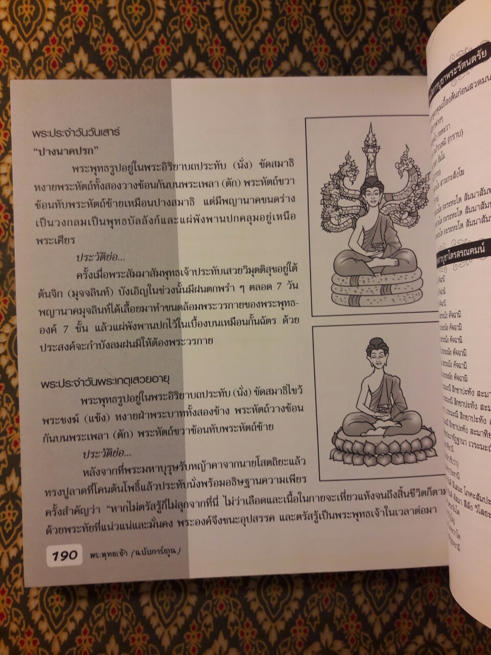 พระพุทธเจ้า ฉบับการ์ตูน