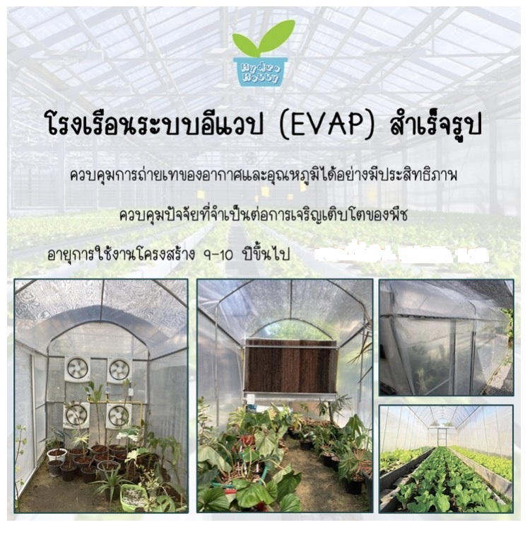 โรงเรือนระบบอีแวป (EVAP) สำเร็จรูป ขนาด 1.6 x 6 เมตร