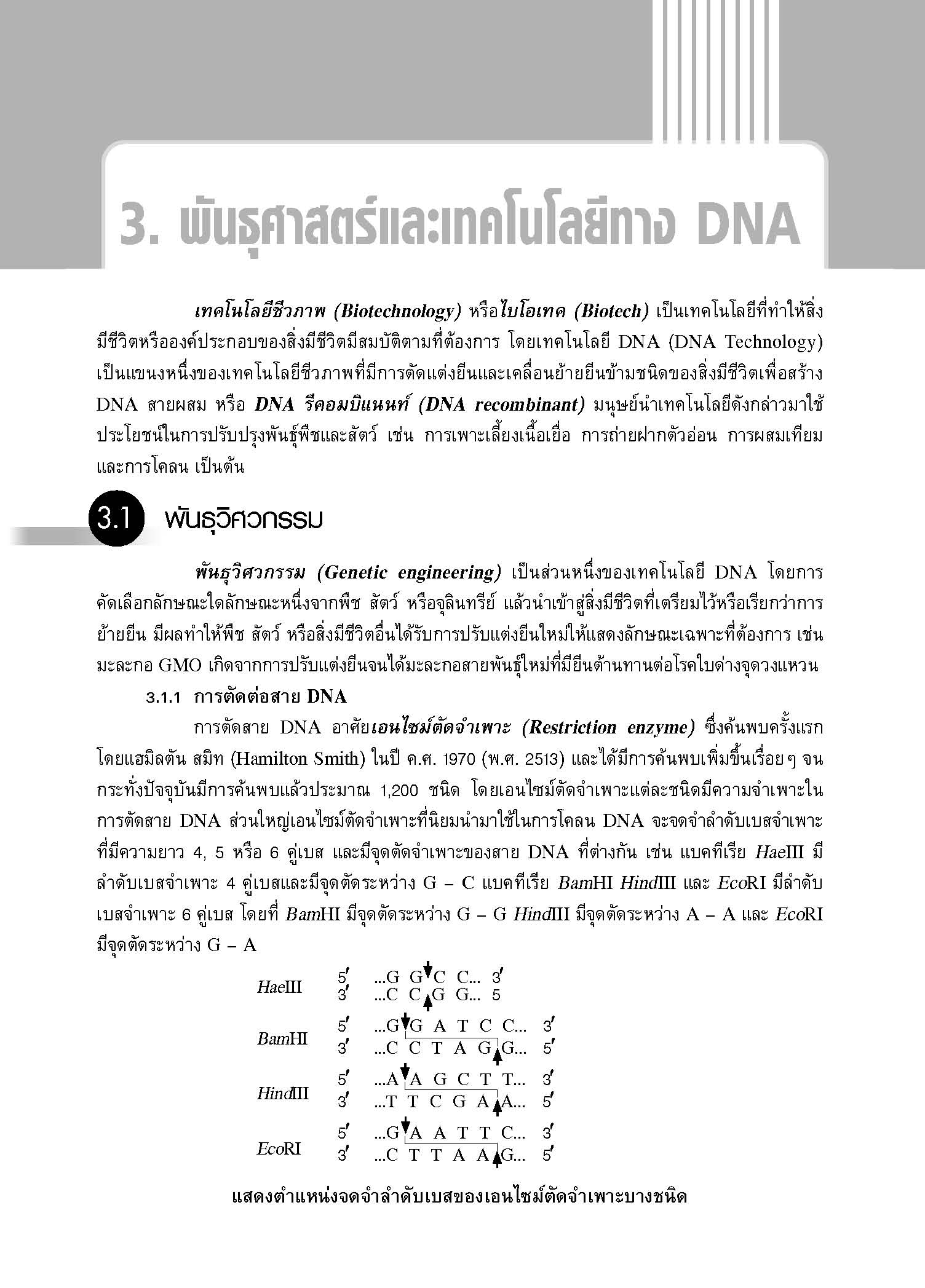 ชุดเทคนิคการเรียนชีววิทยา พันธุศาสตร์