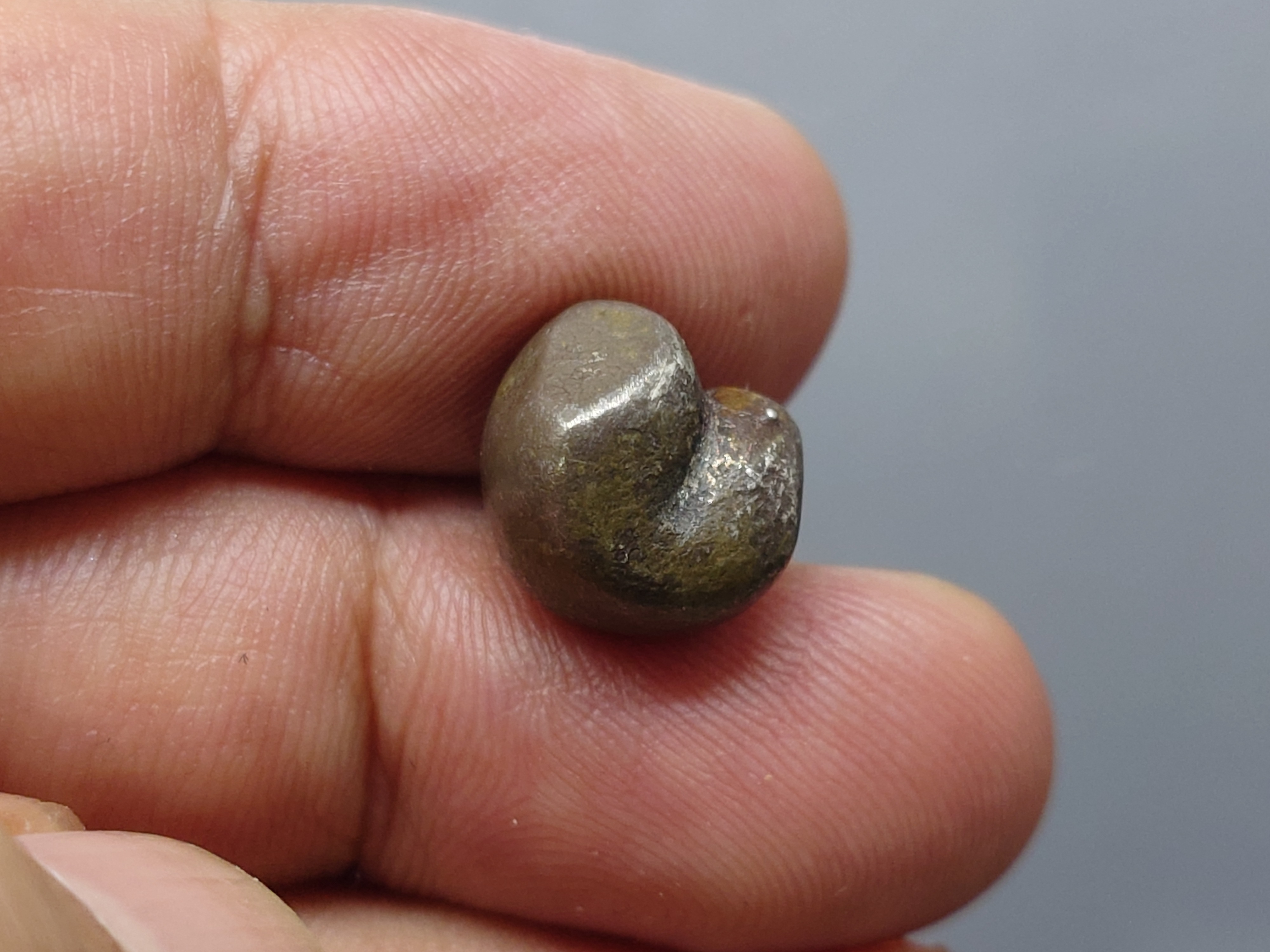 พดด้วง ขนาด สองสลึง ตรามงกุฎ-กงจักร (บล็อกทองคำ) รัชการที่4 ขนาดหายาก สภาพสวย ตราชัด