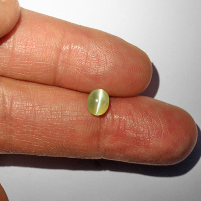 คริสโซเบริลตาแมวหรือไพฑูรย์ (Cat's eye Chrysoberyl) 1.35 กะรัต จากอินเดีย