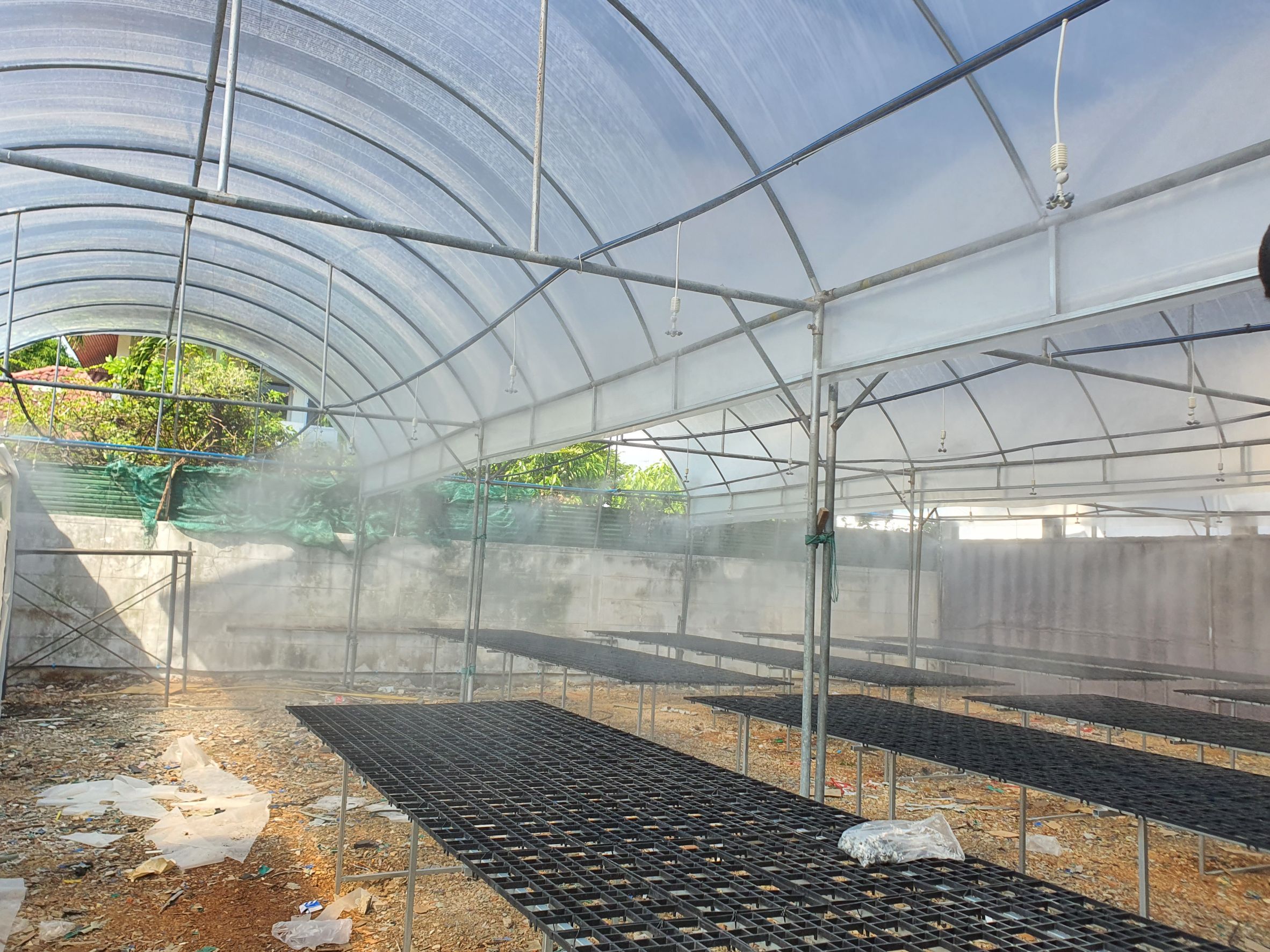 พลาสติกคลุมโรงเรือน (Cooling diffused Film) ความหนา200 ไมคอน สูตรกระจายแสง+ลดความร้อน