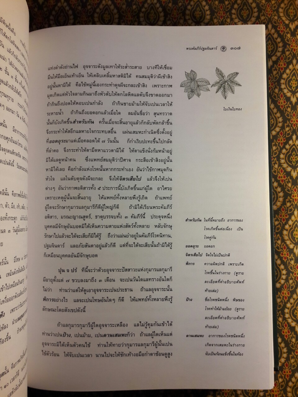 แพทย์ศาสตร์สงเคราะห์ ภูมิปัญญาทางการแพทย์และมรดกทางวรรณกรรมของชาติ