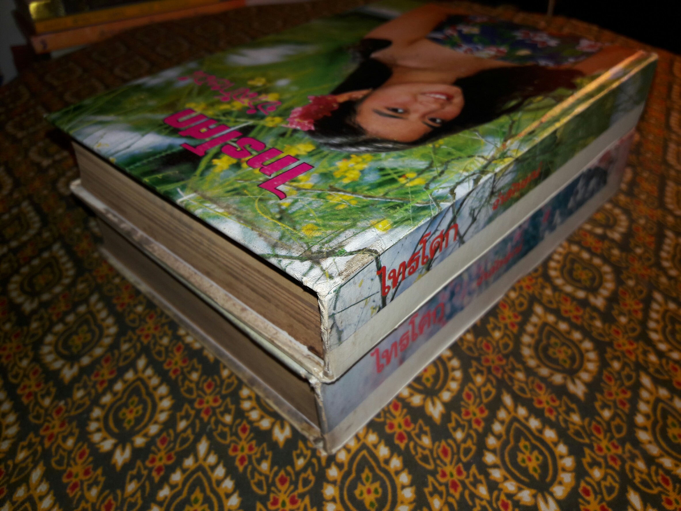 ไทรโศก (2 เล่มจบ)