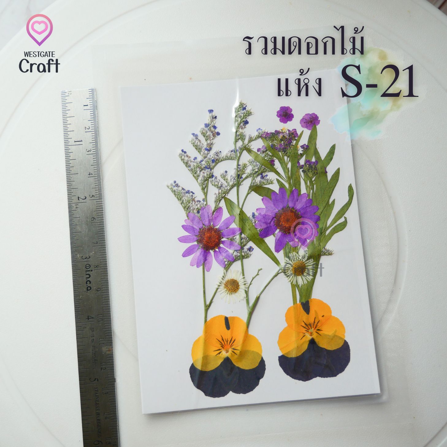 รวมดอกไม้แห้ง S ดอกไม้แห้งทับ ดอกไม้แบบคละ