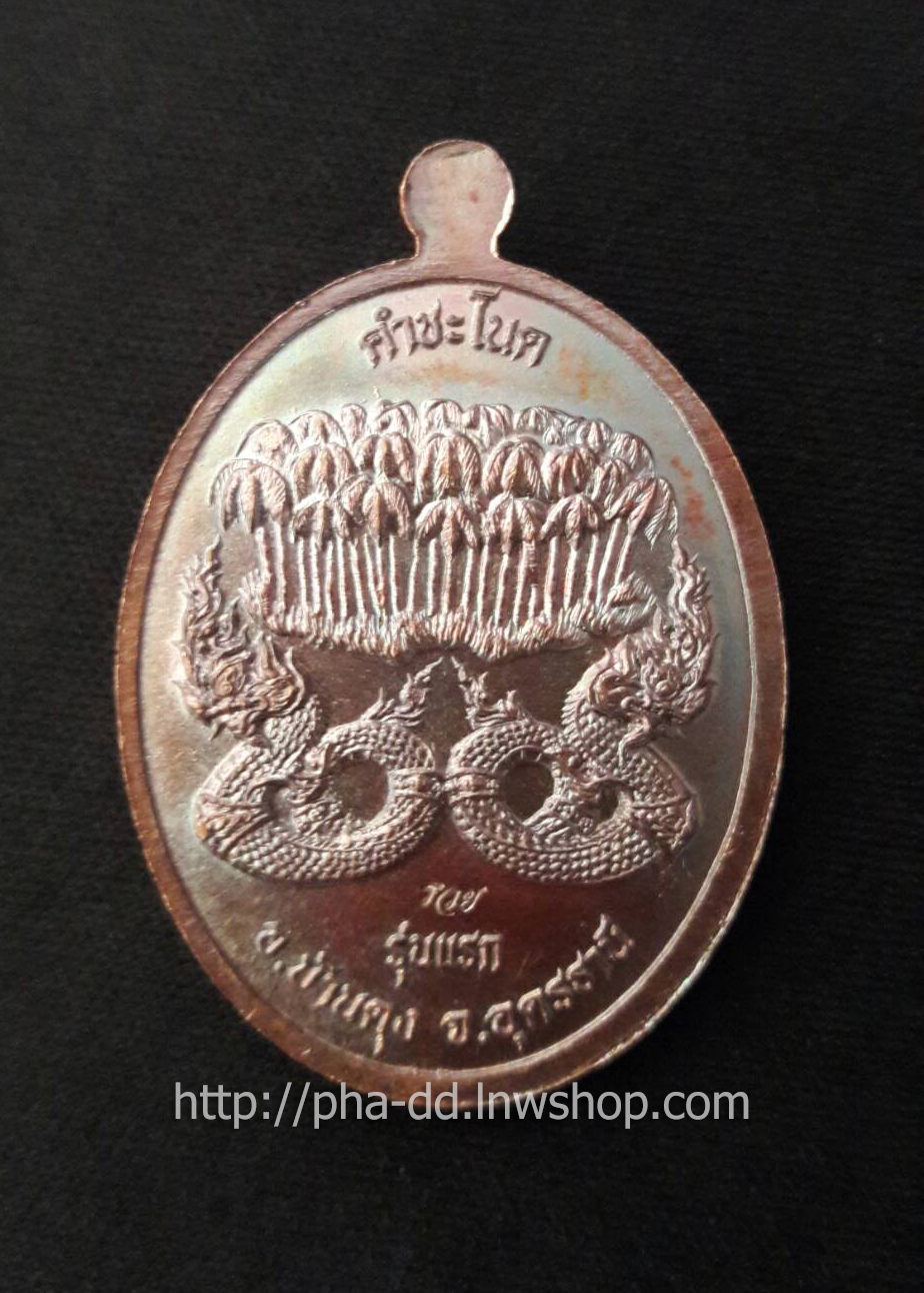เหรียญคำชะโนด รุ่นแรก เนื้อทองแดงผิวรุ้งปีกแมลงทับ