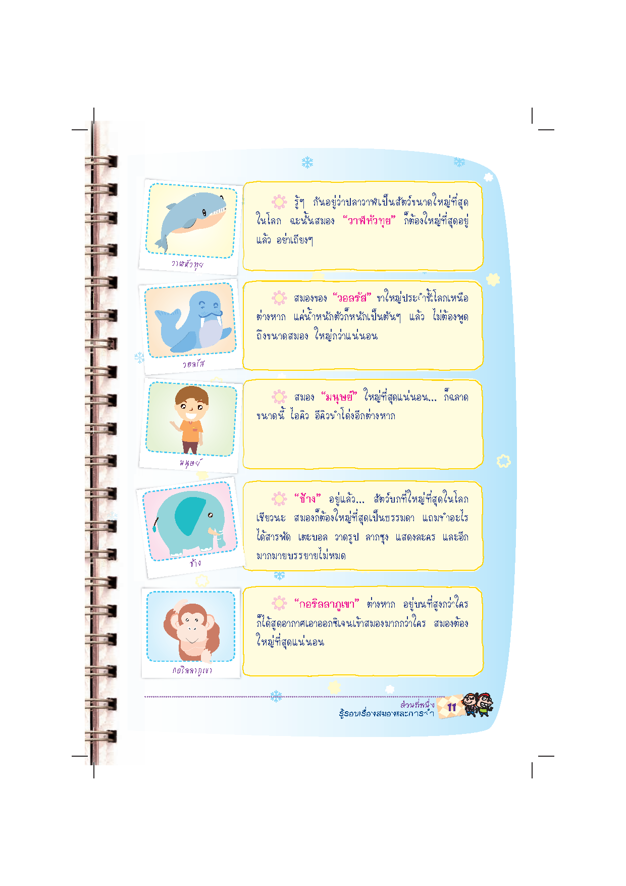 Expernet หนังสือ เพิ่มพลังความจำ แบบอัจฉริยะ! [ เกรด B หนังสือมีตำหนิ ]