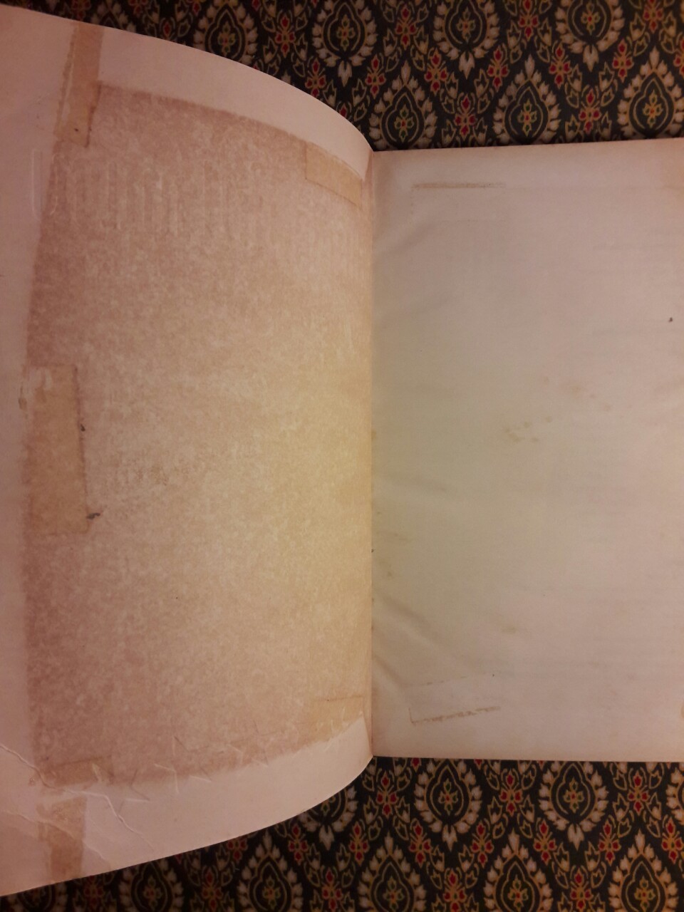 สิ่งมีชีวิตในโรงแรม