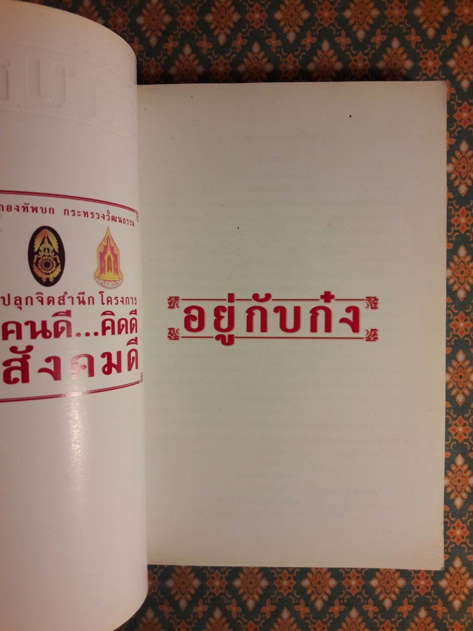 นิยายภาพ อยู่กับก๋ง : Limited Edition