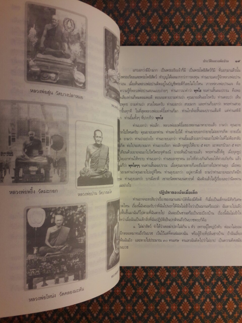 ประวัติหลวงพ่อปาน โสนันโท (พระครูวิหารกิจจานุการ)