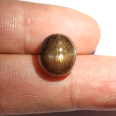 สตาร์ซันสโตน (Star Sunstone) 9.74 กะรัต สีน้ำตาล สตาร์ 4 ขาอ่อนๆ